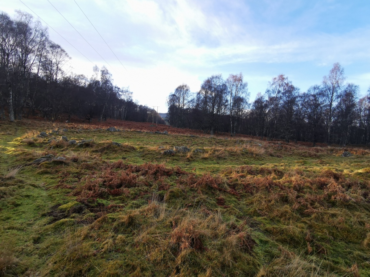 Click for the gallery page to add comments and vote (PID:206410) Hut Circles at Old Kinord