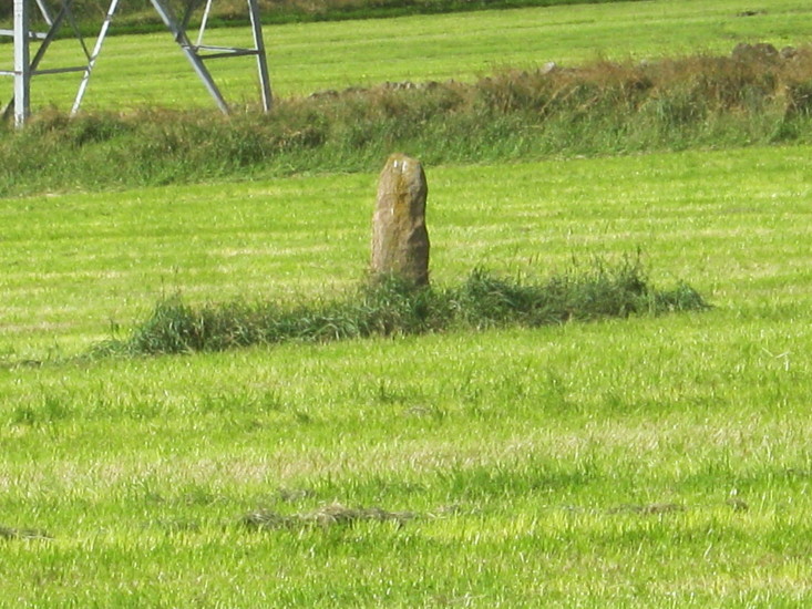 Corsefield Cattle Rubbing Stone