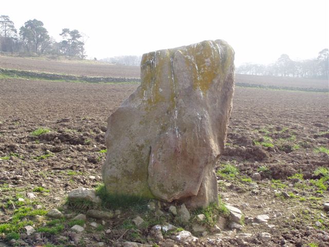 Learney Standing Stone