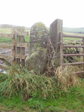 Liggar's Stane