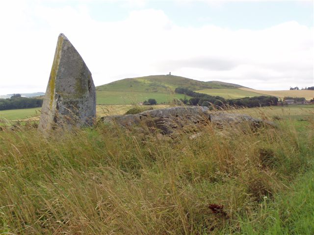 Inschfield with Dunnideer in background