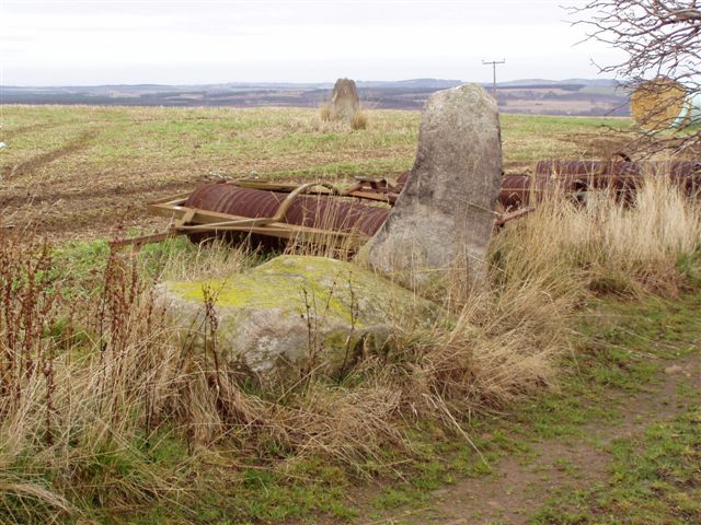 Cairnfauld at NO754941 is a barely recognisable circle with only three obvious stones. Burl claims that there are four but I could not see it.

The site was subject to desecration by the then current farmer in the C19th but the present incumbent welcomed me and advised the best route was up the track between the farm buildings.