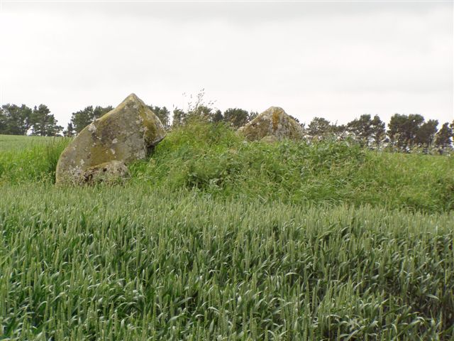 St. Brandan's Stanes