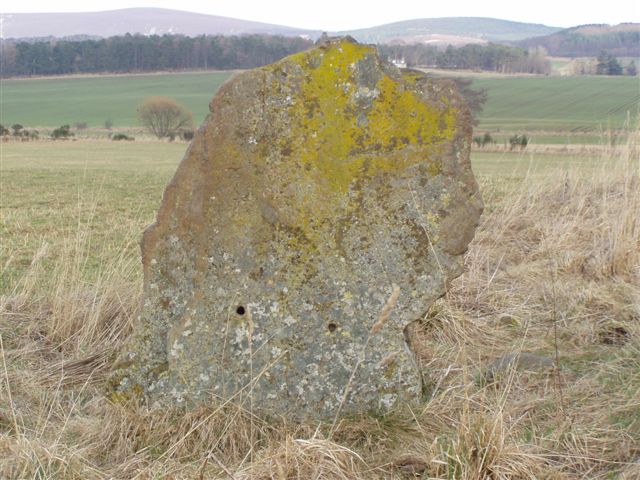 Waulkmill