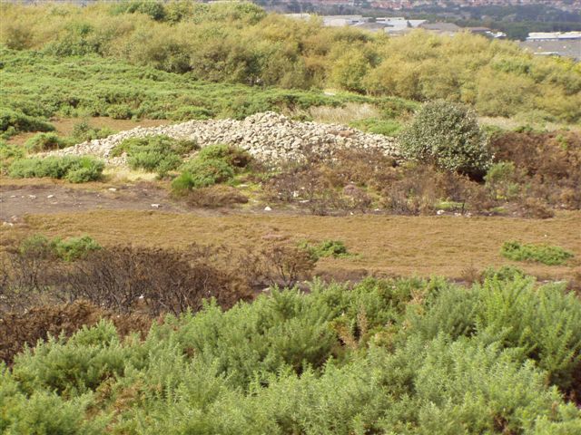 Tullos Cairn