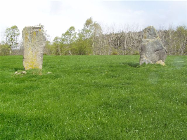 Druidsfield