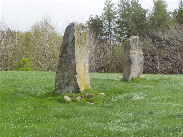 Druidsfield
