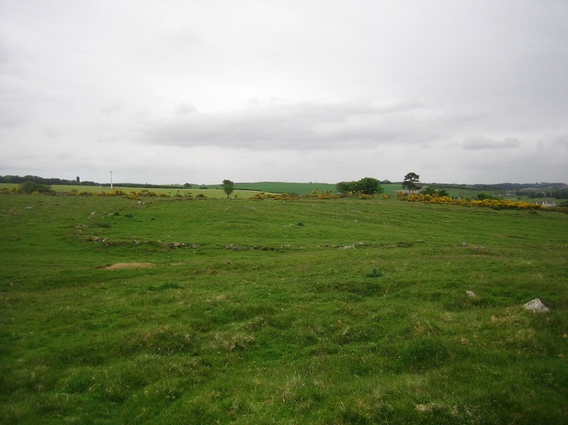 Schivas