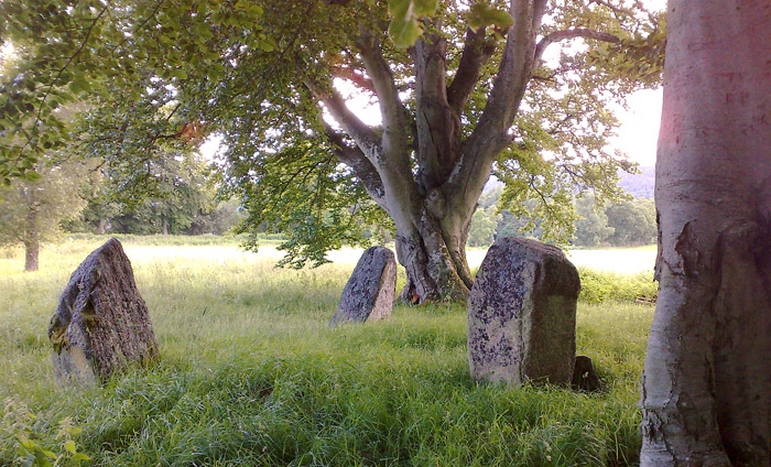 Deer Park