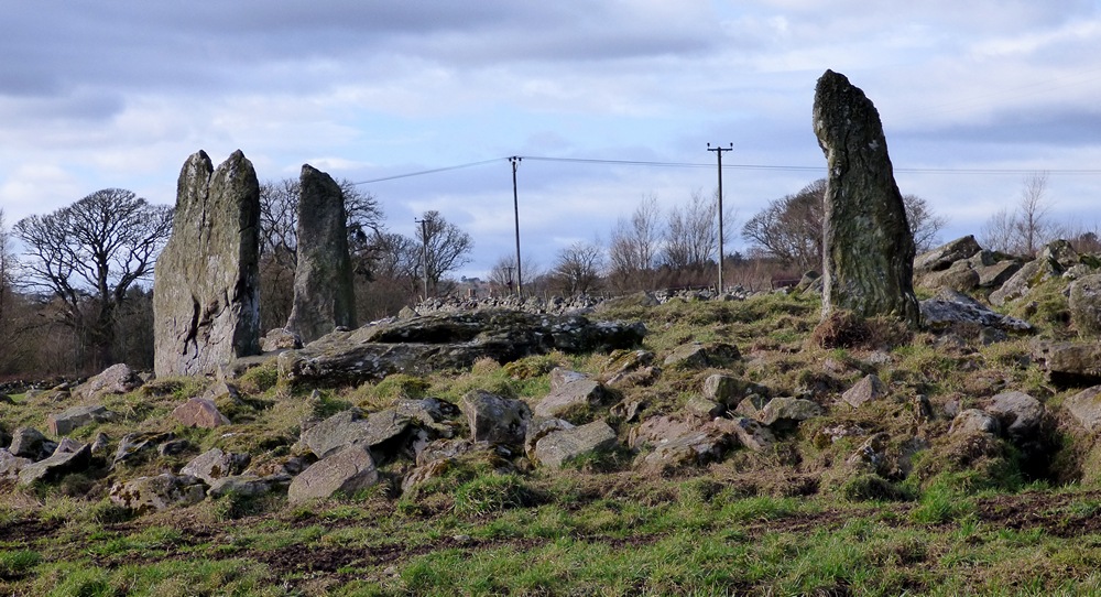 Old Bourtreebush