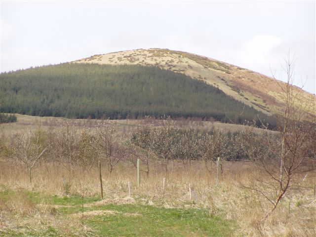 Hill of Christ's Kirk