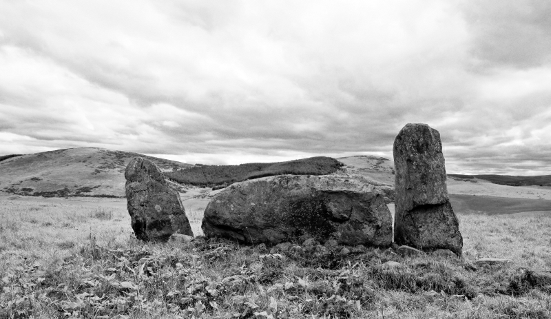 Click for the gallery page to add comments and vote (PID:60906) Stonehead