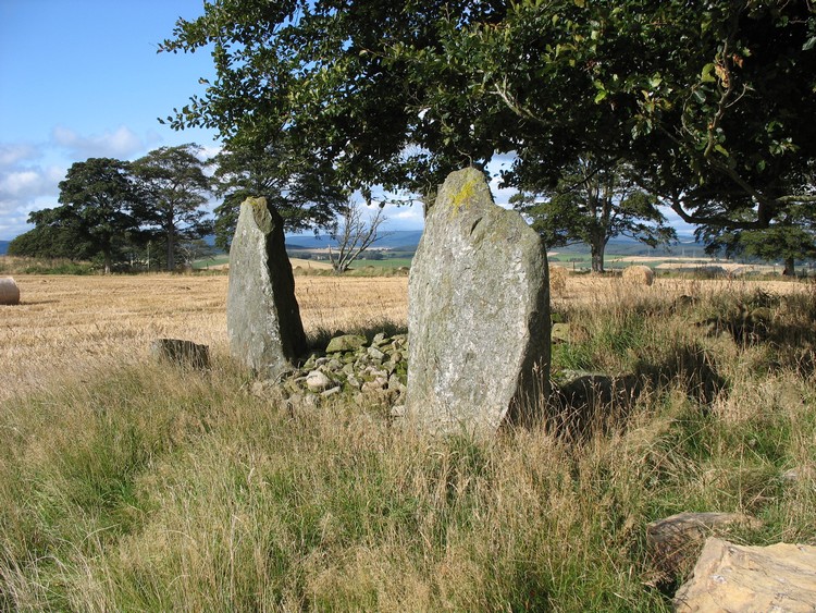 Two most significant stones belonging to the remains of South Fornet Stone Circle. A beautiful tree looks like a guardian of the site. Besides these two menhirs there's a considerable amount of stones in this area but it's difficult to estimate if any of them is a part of stone circle as well.