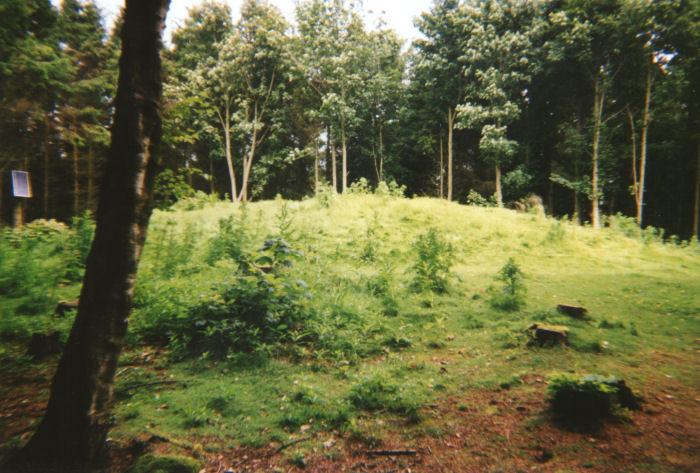 Click for the gallery page to add comments and vote (PID:78538) Woods of Dunnottar Cairn
