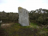 Kempston Hill - PID:85754