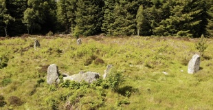 Raes Of Clune - PID:245641