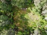 Cothiemuir Wood - PID:244609