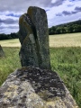 Castle Fraser circle - PID:245050