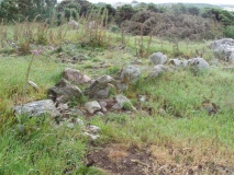 Auchlee Circle - PID:15982