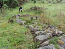 Auchlee Circle - PID:15983