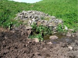 St Devenick's Well - PID:25099
