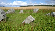 Backhill Of Drachlaw - PID:114298