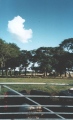 Berrybrae - PID:31002