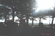 Berrybrae - PID:31003