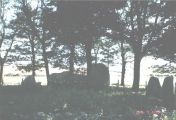 Berrybrae - PID:1200