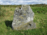 Broomend Of Crichie Stone Circle / Henge