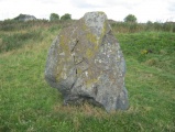 Broomend Of Crichie Stone Circle / Henge