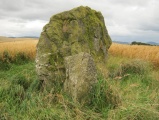 Cairn Riv - PID:97540