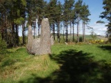 Cothiemuir Wood - PID:25585