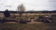 Cullerlie - PID:1204