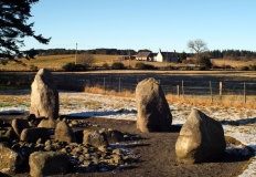 Cullerlie - PID:161865 Cullerlie - PID:161865