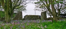 Netherton - PID:132969