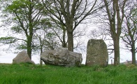 Berrybrae - PID:134083
