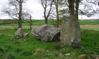 Berrybrae - PID:134084