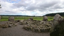 Cullerlie - PID:230760