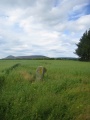 Ardlair (Pictish Stone) - PID:135876