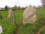 Druidsfield