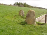 Druidsfield