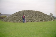 Memsie Burial Cairn - PID:19237