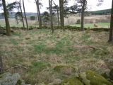 Balnacraig Stone Circle - PID:87974