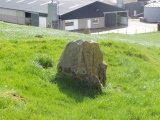 Druidsfield