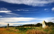 Castle Fraser Row - PID:158144