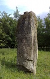 Woodend of Cluny