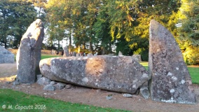 Midmar Kirk S