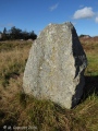 Broomend of Crichie Pictish Symbol Stone - PID:168332