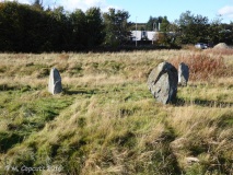 Broomend Of Crichie Stone Circle / Henge - PID:168338